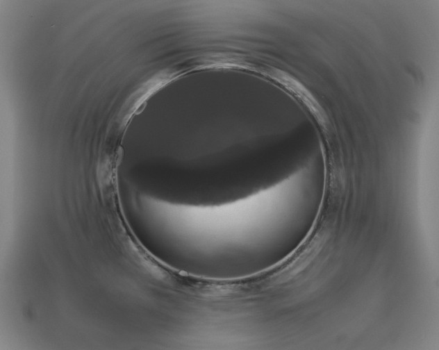 X0000113761385200909231155