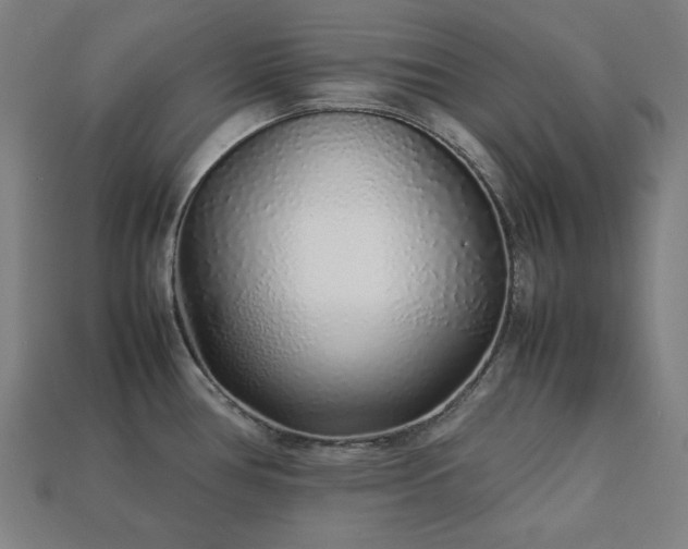 X0000113761386200909231155