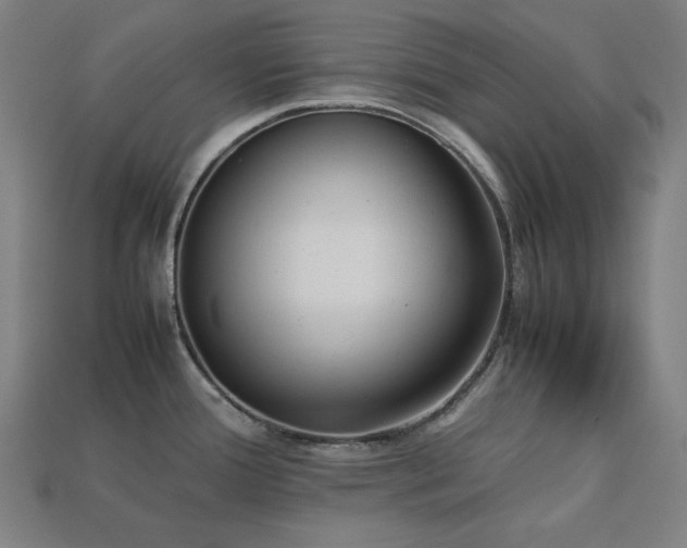 X0000113761388200909231155