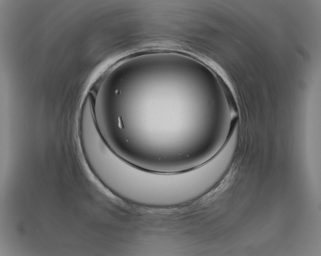 X0000113761389200909231155