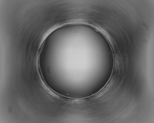 X0000113761390200909231155