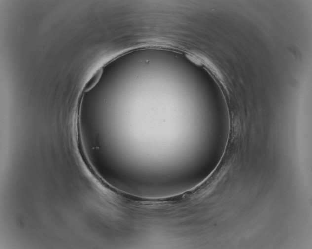 X0000113761391200909231155