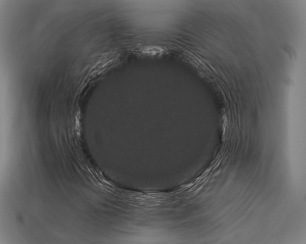 X0000113761394200909231155