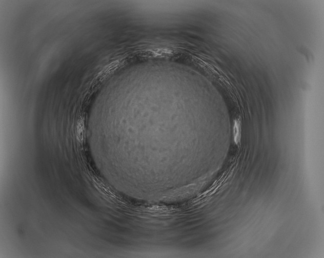 X0000113761395200909231155
