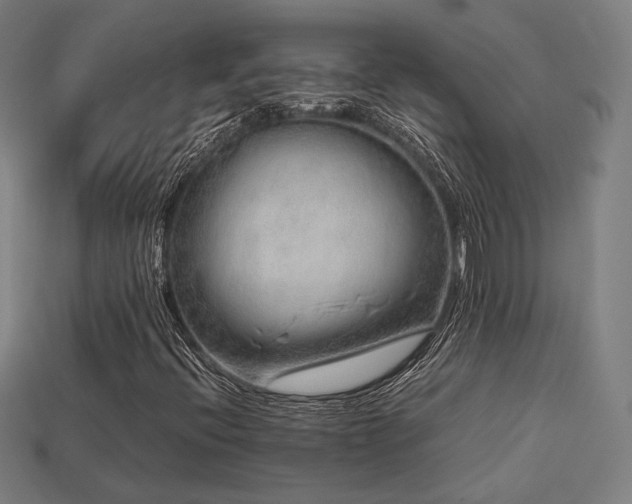 X0000113761396200909231155