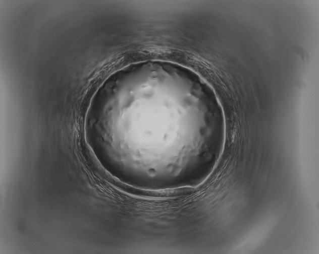 X0000113761397200909231155