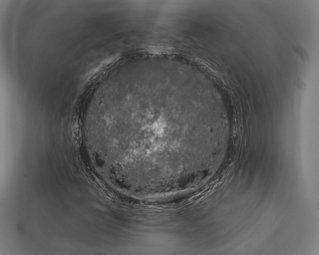 X0000113761398200909231155