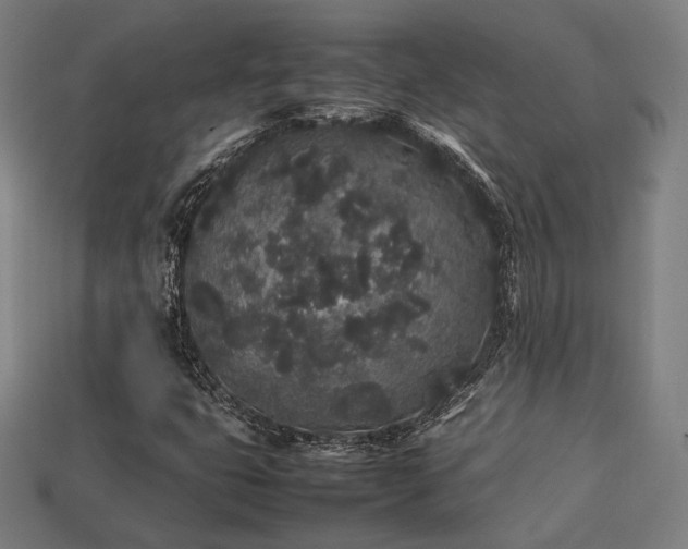 X0000113761399200909231155