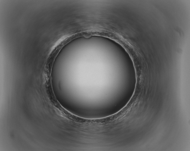 X0000113761400200909231155
