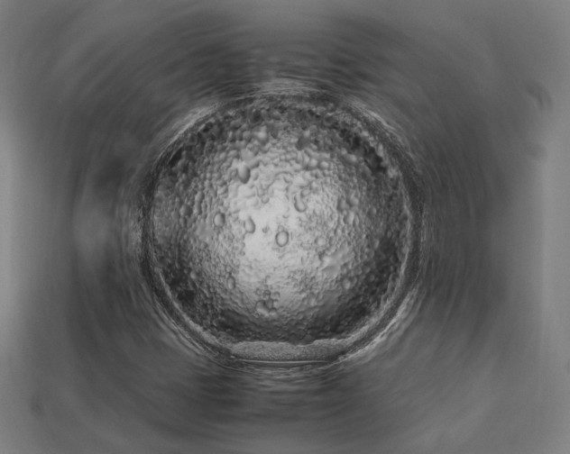 X0000113761401200909231155