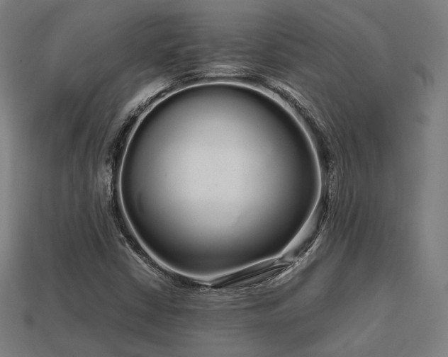 X0000113761402200909231155