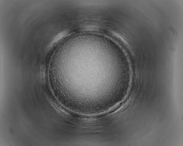X0000113761403200909231155