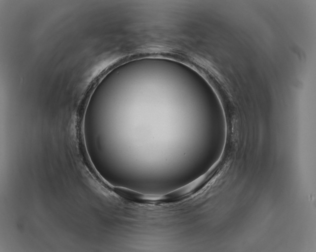 X0000113761404200909231155