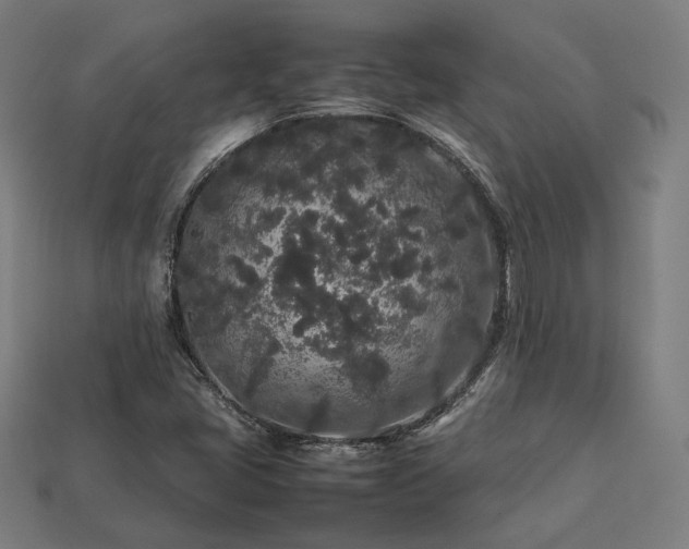 X0000113761405200909231155