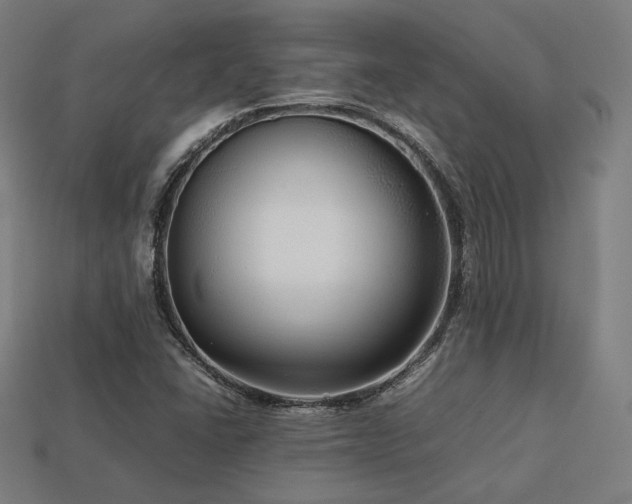X0000113761406200909231155
