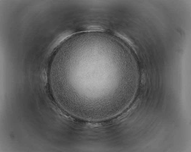 X0000113761407200909231155