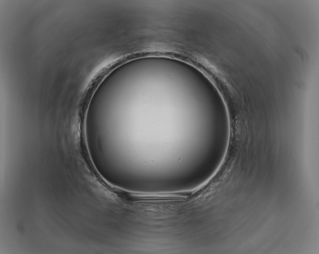 X0000113761408200909231155