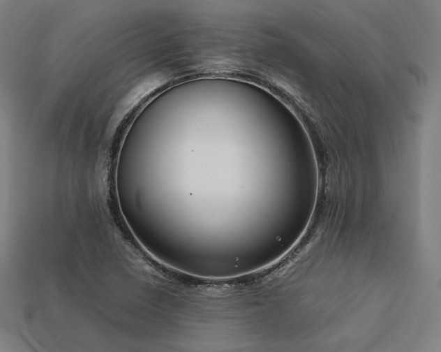 X0000113761410200909231155