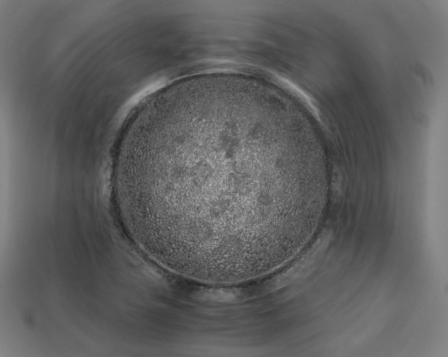 X0000113761411200909231155