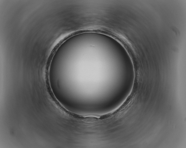 X0000113761412200909231155