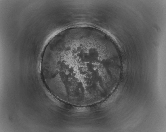X0000113761413200909231155