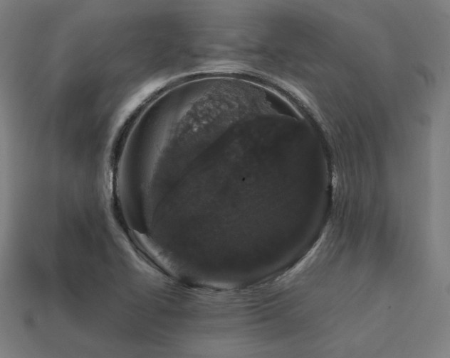 X0000113761414200909231155