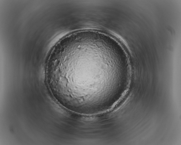X0000113761415200909231155