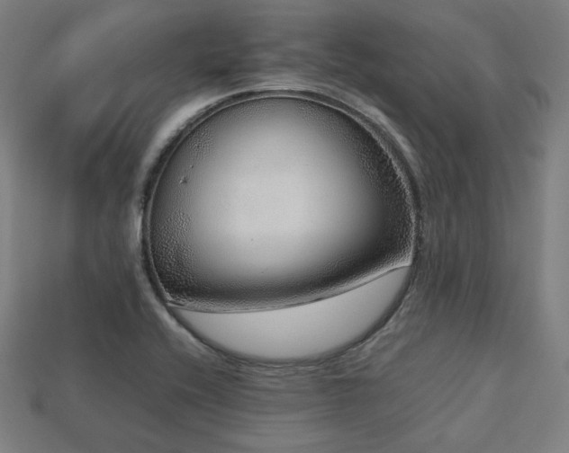 X0000113761416200909231155