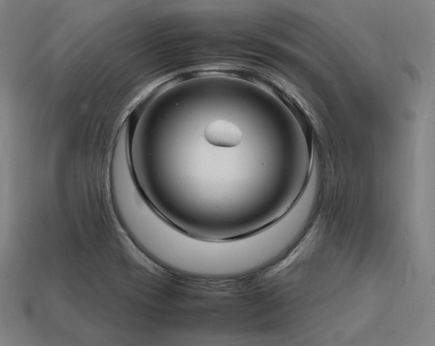 X0000113761417200909231155