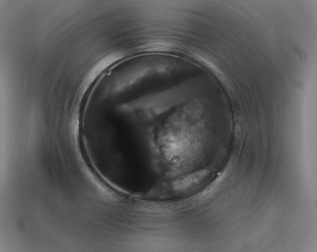 X0000113761418200909231155