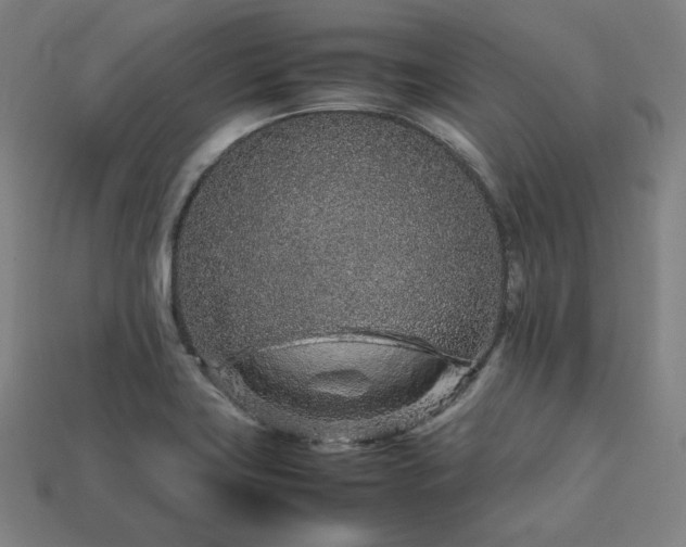 X0000113761419200909231155