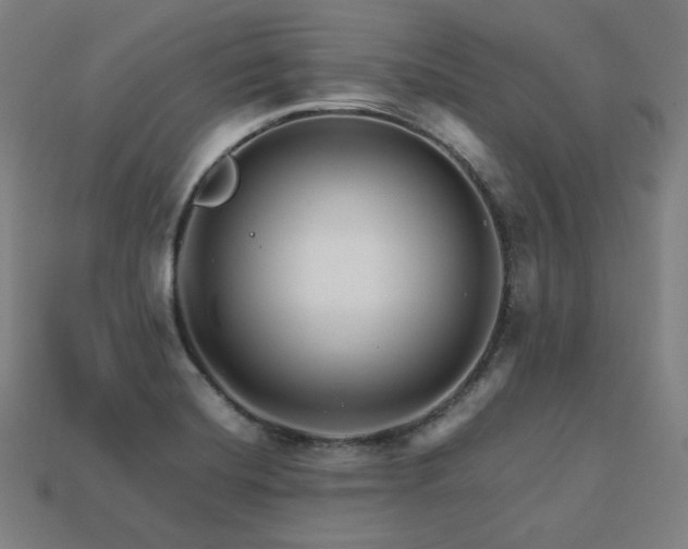 X0000113761420200909231155