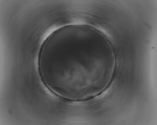 X0000113761422200909231155