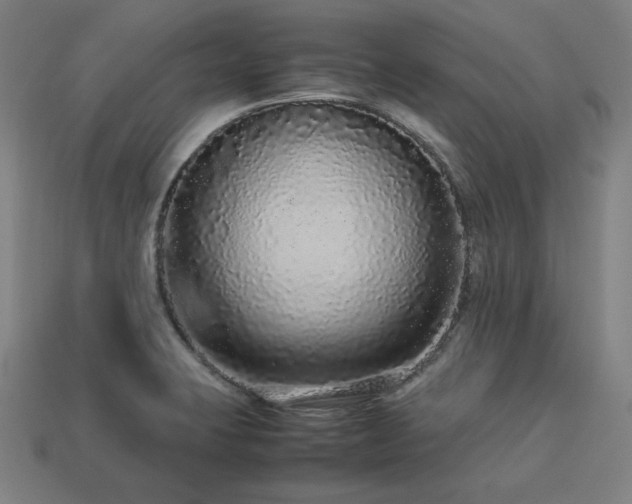 X0000113761423200909231155