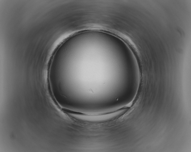 X0000113761424200909231155