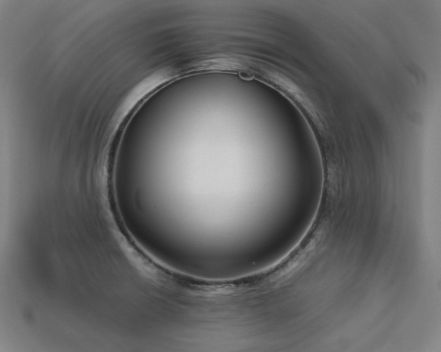 X0000113761426200909231155