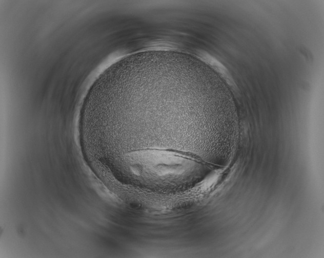 X0000113761427200909231155