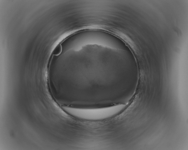 X0000113761428200909231155