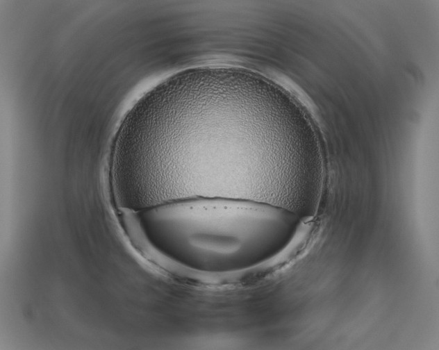 X0000113761429200909231155