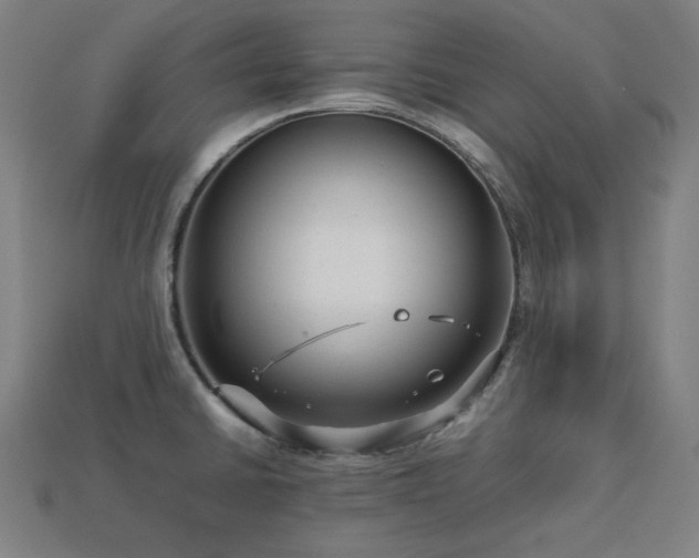 X0000113761430200909231155
