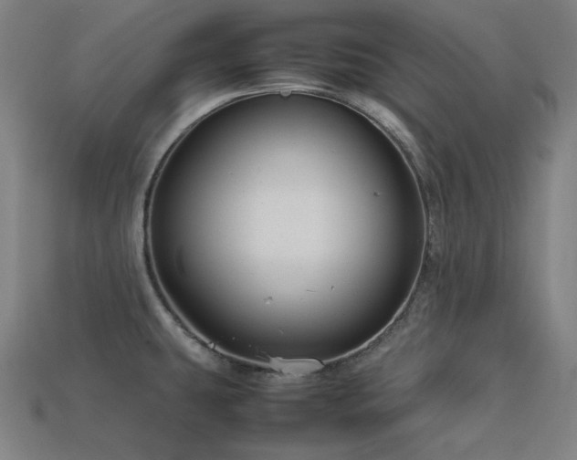 X0000113761431200909231155