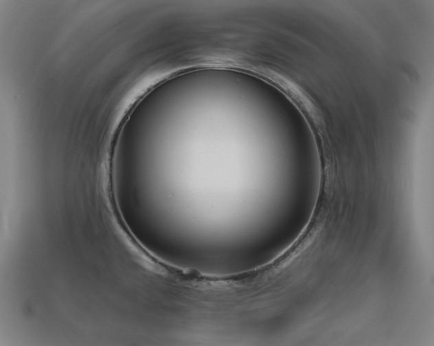 X0000113761432200909231155