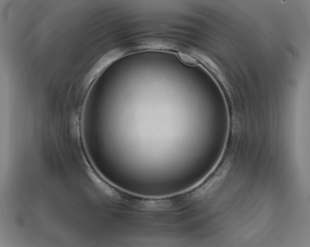 X0000113761433200909231155