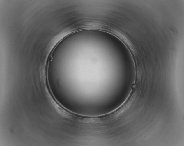 X0000113761434200909231155