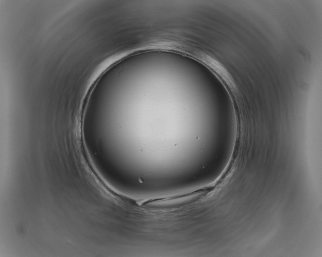 X0000113761436200909231155