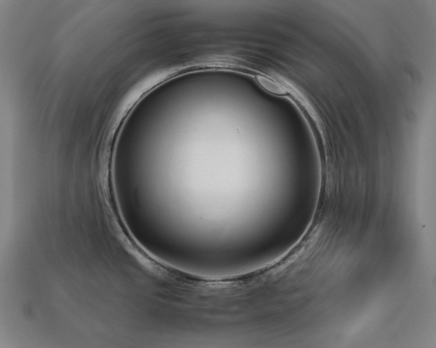 X0000113761437200909231155
