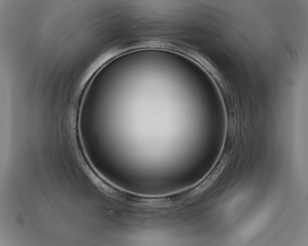 X0000113761438200909231155