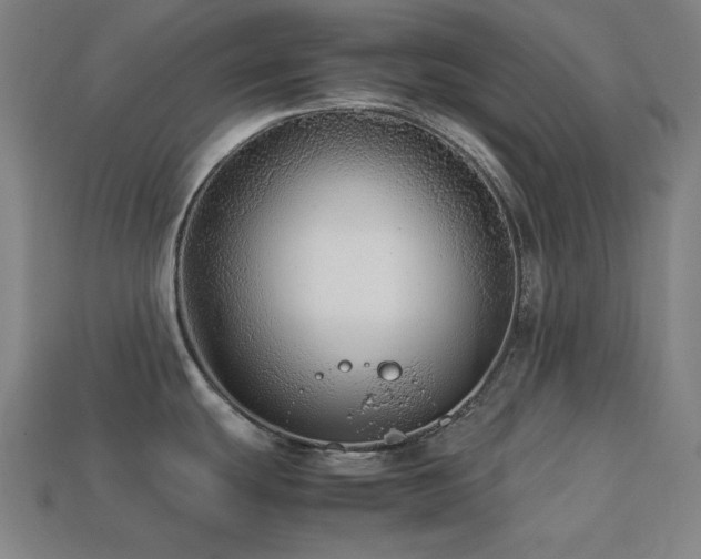 X0000113761439200909231155