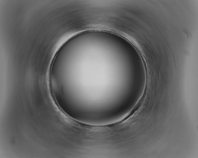 X0000113761440200909231155