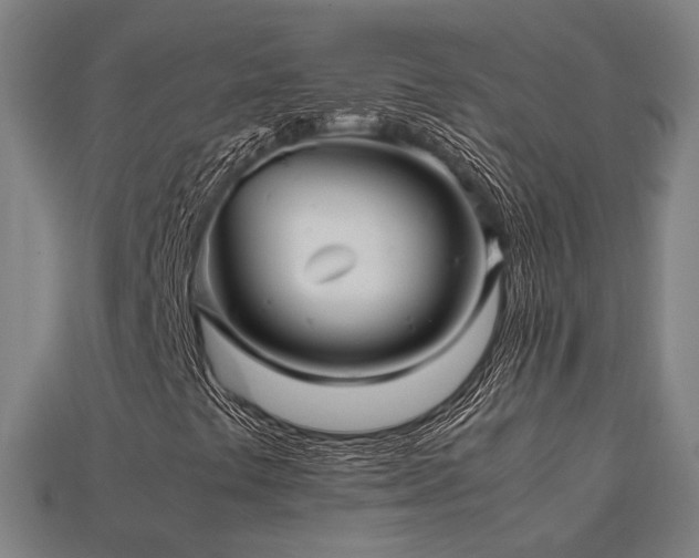 X0000113761441200909231155